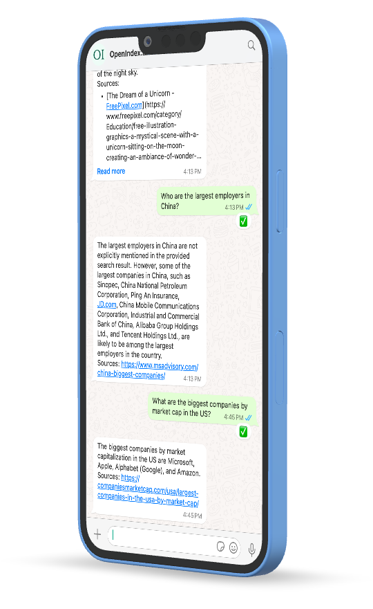 OpenIndex.ai WhatsApp chatbot